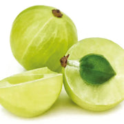 AMLAT FRUIT - GreenVitality